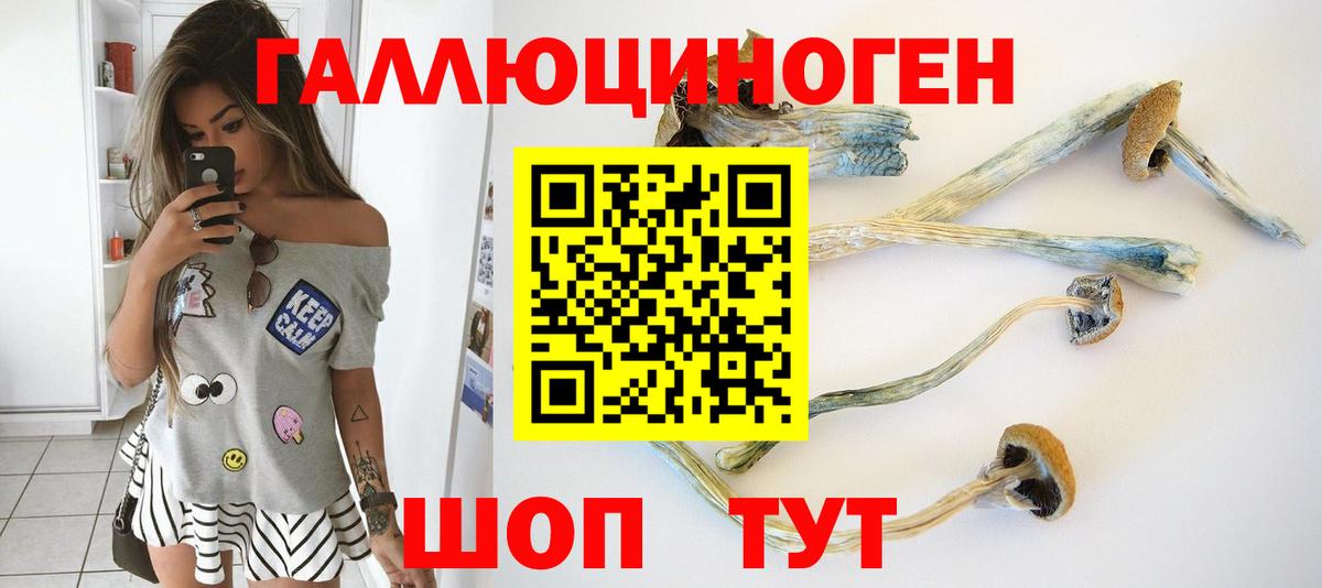 Псилоцибиновые грибы GOLDEN TEACHER Чернушка
