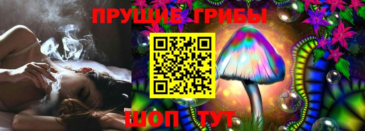 Чернушка  наркотики  Вход с VPN  Псилоцибиновые грибы Psilocybine cubensis  Галлюциногенные грибы Psilocybe 