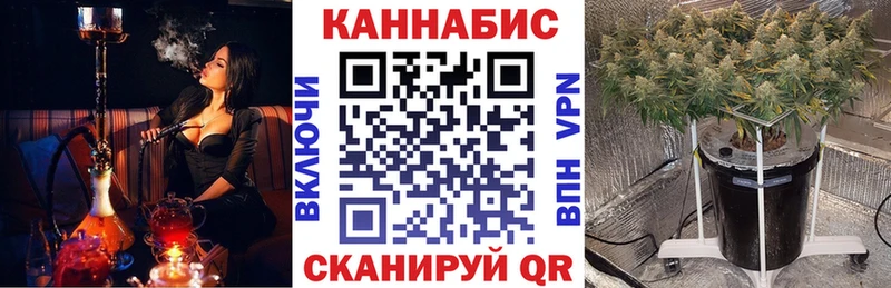 mega зеркало  купить наркоту  Чернушка  Бошки марихуана Bruce Banner 