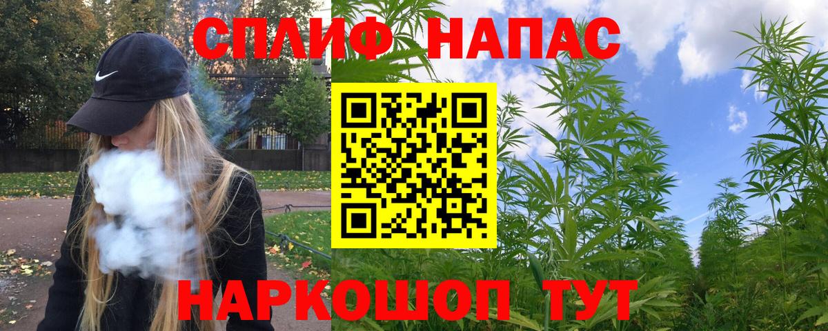 Канабис планчик Чернушка